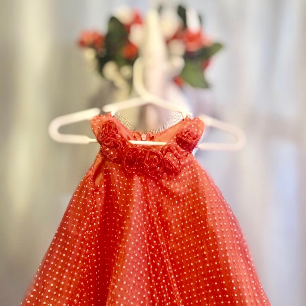 Bonnie Baby Baby Girl Dress